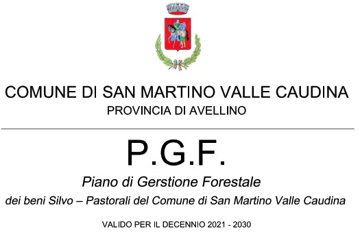 Piano Assestamento Forestale 1