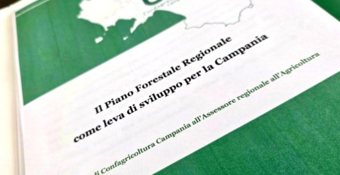 Piano Assestamento Forestale 3